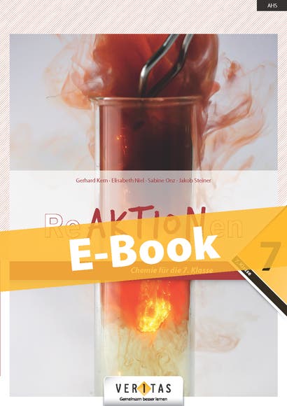 Reaktionen. Chemie für die 7. Klasse. E-Book