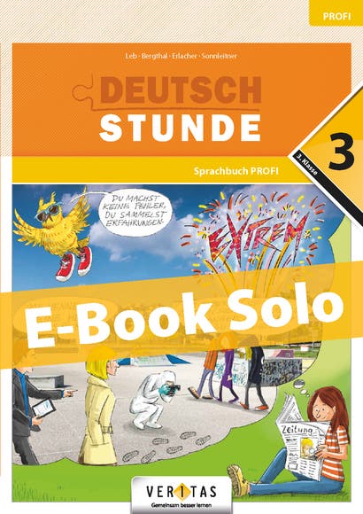 Deutschstunde 3 PROFI. Sprachbuch. E-Book Solo