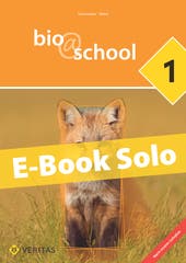 bio@school 1. Lehrplan 2023. E-Book Solo