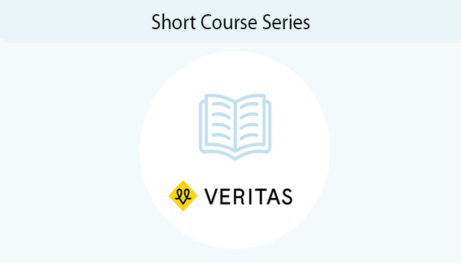 Short Course Series-Englisch im Beruf