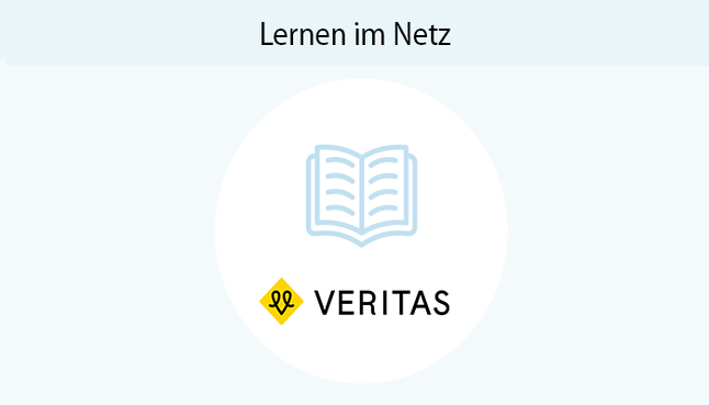 Lernen im Netz